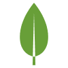 MongoDB logo-tech